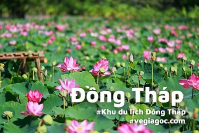 HCM đi Thanh Bình / Tam Thôn